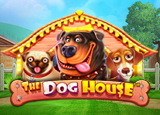 The Dog House - Rtp GUATOGEL